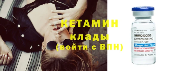 spice Инта