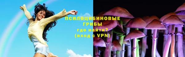 spice Инта
