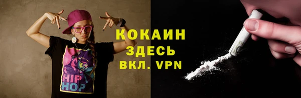 spice Инта
