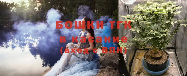эйфоретик Инсар