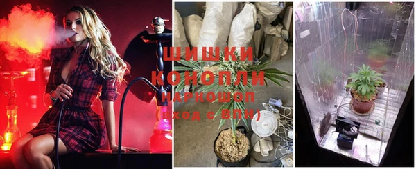 эйфоретик Инсар