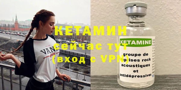 spice Инта