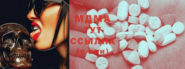 spice Инта