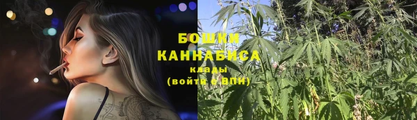 spice Инта