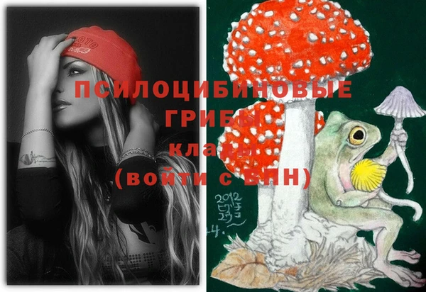 эйфоретик Инсар